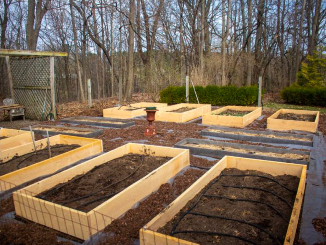 hemlock raised garden bed