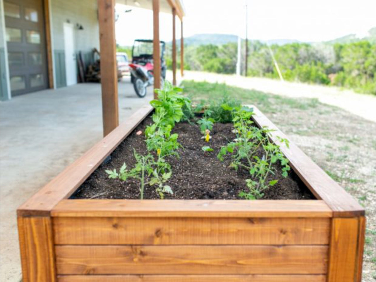 red cedar raised garden bed