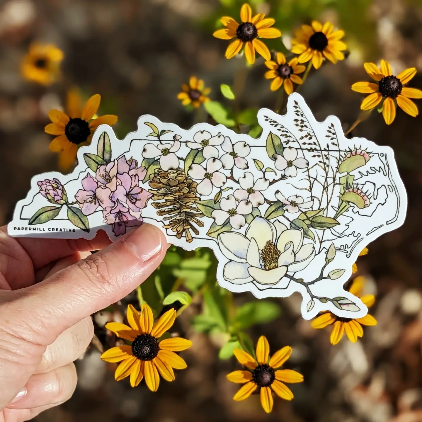Sticker - NC Native Plants