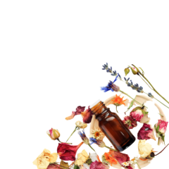 Botanicals and essential oil bottle