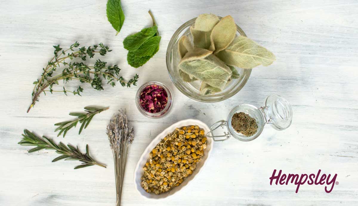 Comparing Herbal Smoking Blends: What's best for you? – Hempsley Health