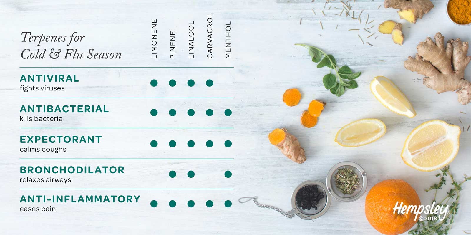 Infographic reference chart for antiviral terpenes for cold and flu season