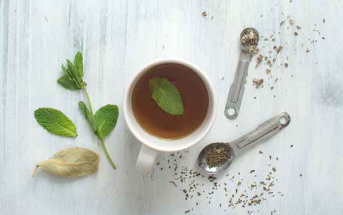 Mint and mullein tea