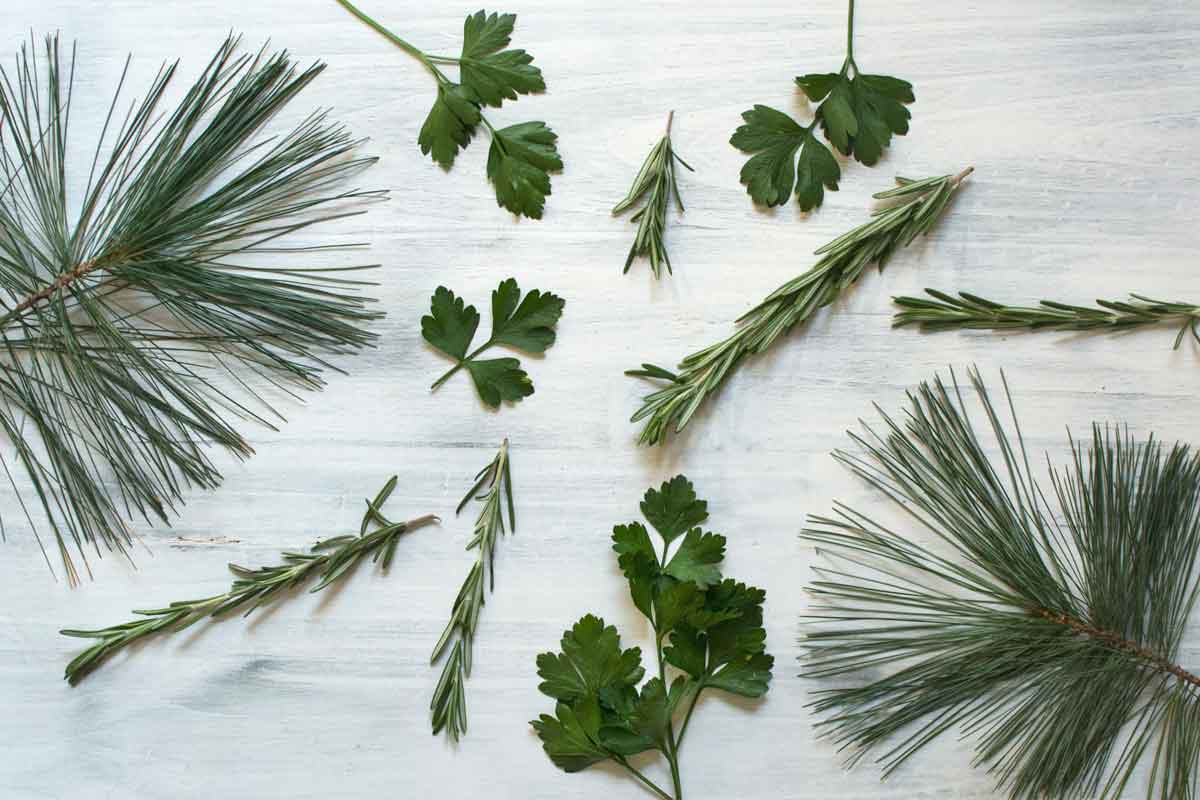 Herbs with the terpene pinene such as pine, parsley, rosemary