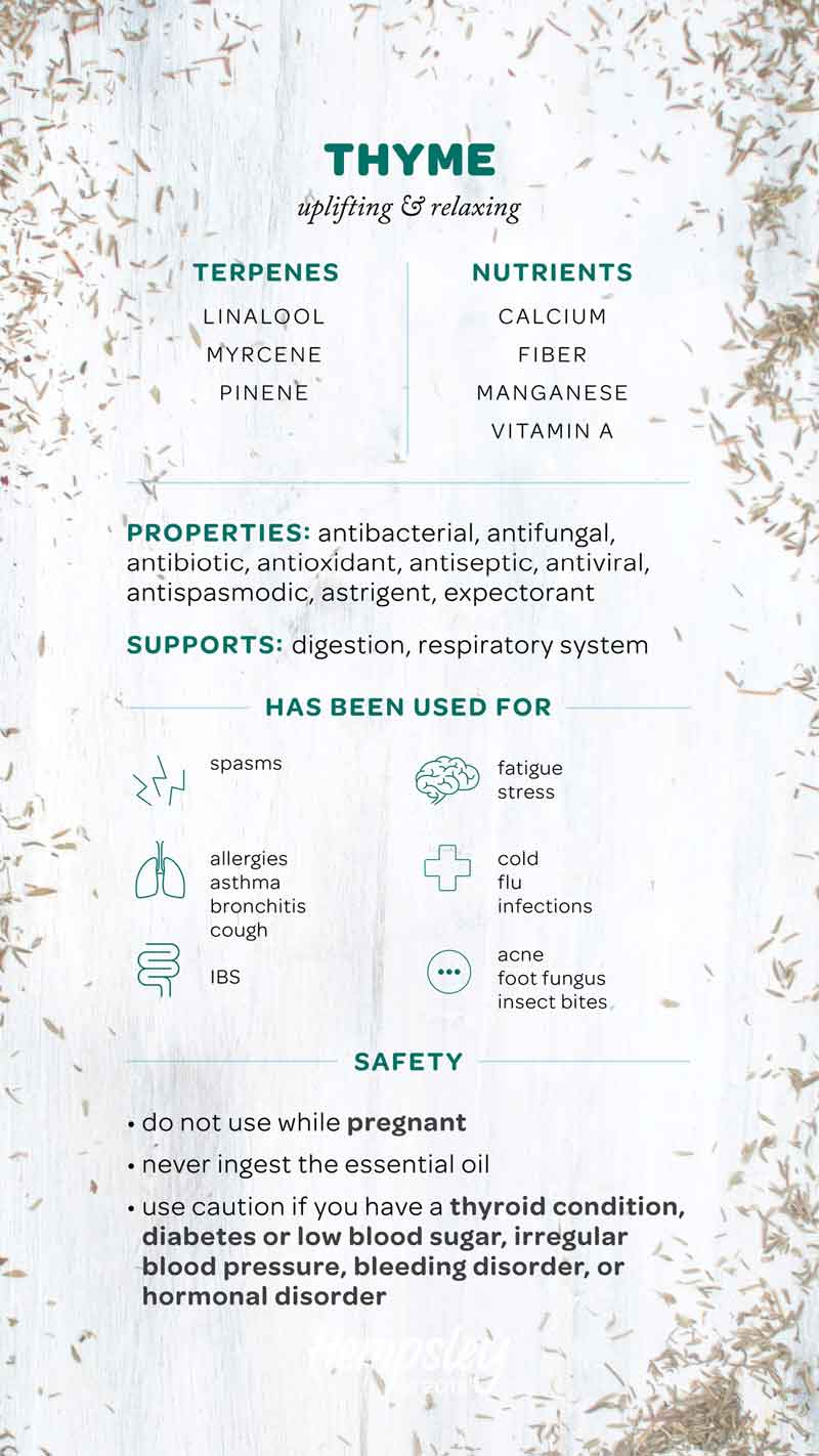 Infographic reference chart for thyme