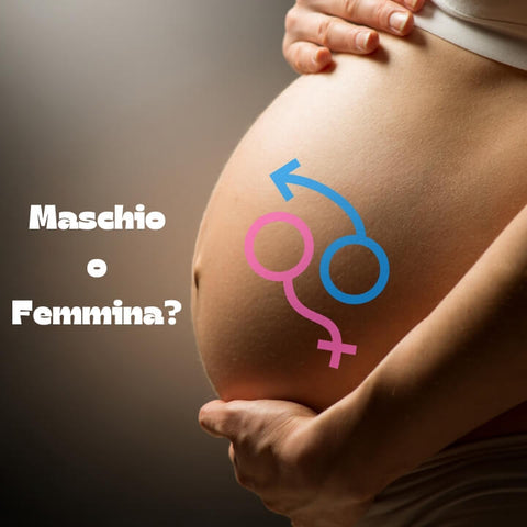 maschio o femmina: donna incinta