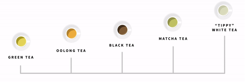 Tea Basics - Instructions for Brewing - Premium Teas Canada