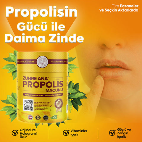 propolis-macunu-resim-4