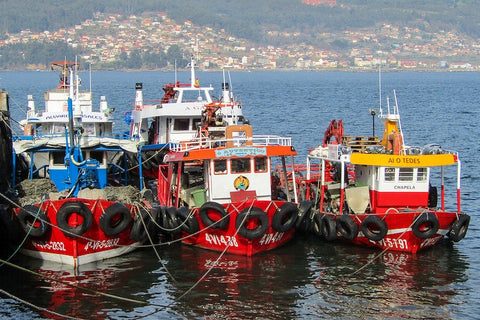 galician fishing boats
