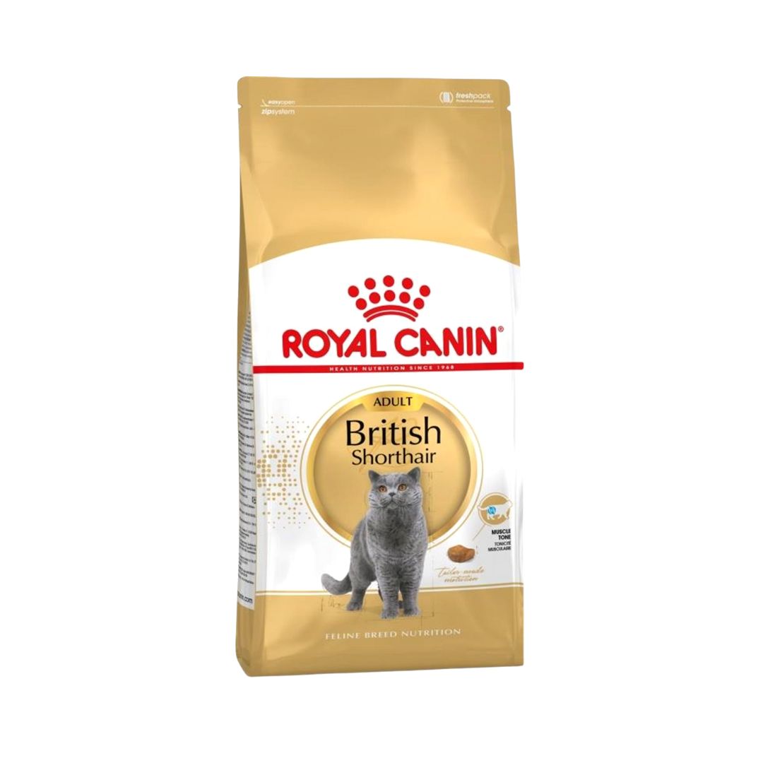 Royal canin hot sale british shorthair kitten