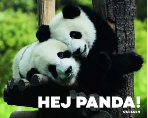 Billede af Børnebog, Hej Panda! - Legekammeraten.dk