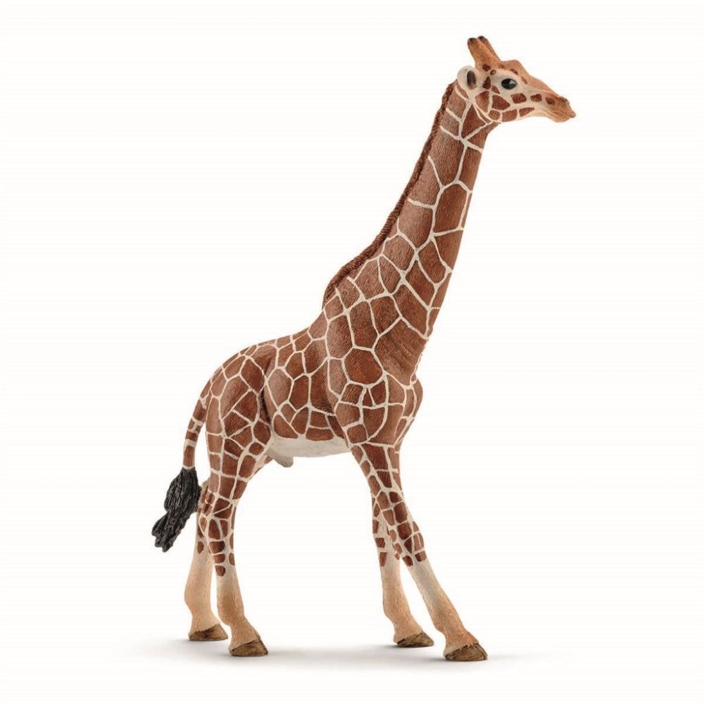 Billede af Schleich, Giraffe Male - Dyr - Legekammeraten.dk