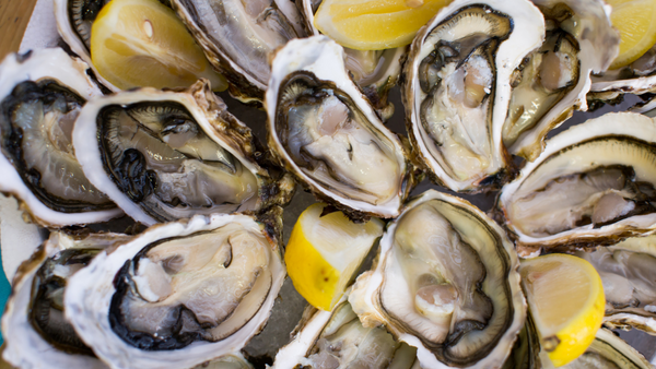 [Everything I Crave Is On The "Do Not Eat List!"] - [Oysters]