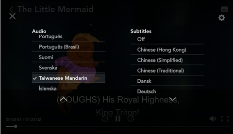 Changing audio and subtitles in Netflix