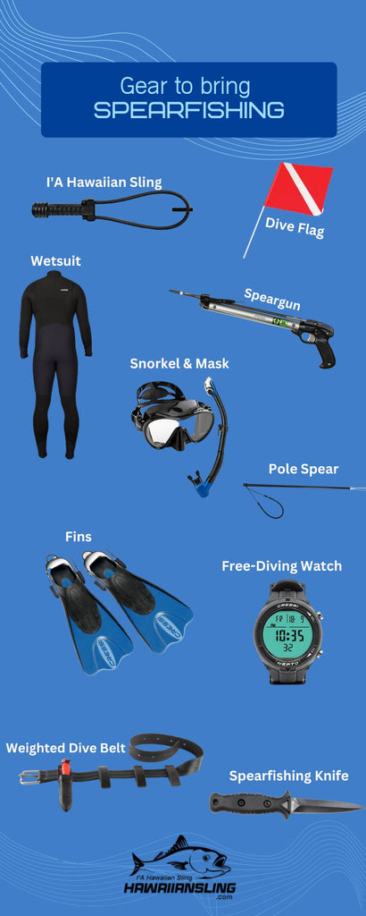 Spearfishing Equipment: Essential Gear for a Successful Dive — Fusion  Freedive and Spearfishing