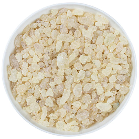Dammar Gum Dammar Copal