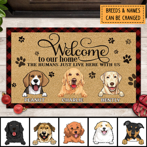 Pawzity Welcome Mat, Gifts For Dog Lovers, Welcome Home Outdoor Door M