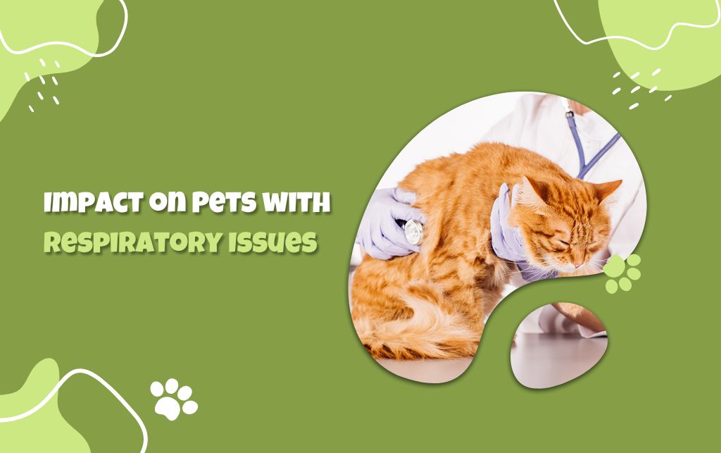 Impact on cats with Respiratory Issues