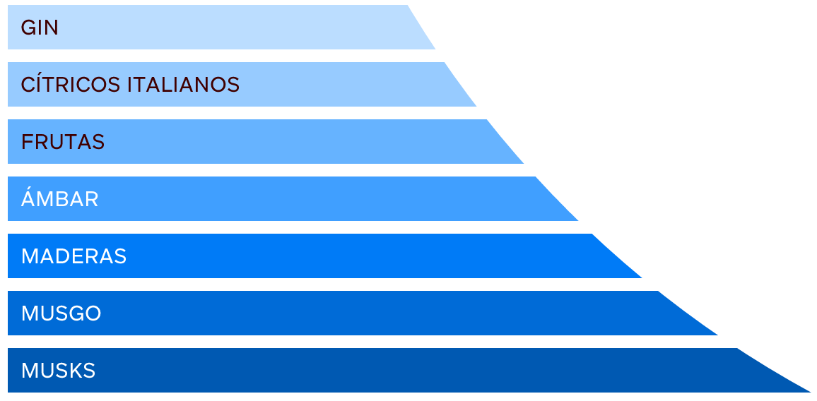 Pirámide olfativa de mi fragancia.