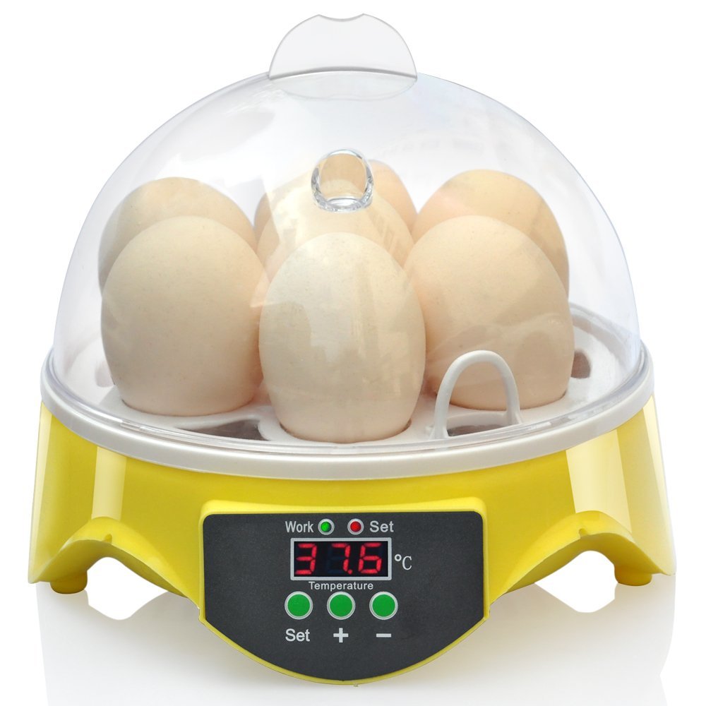 Mini Incubadora 7 Huevos Pollo Pato C/A De Temp – Alamazonas