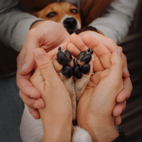 Unique pet memorial gift