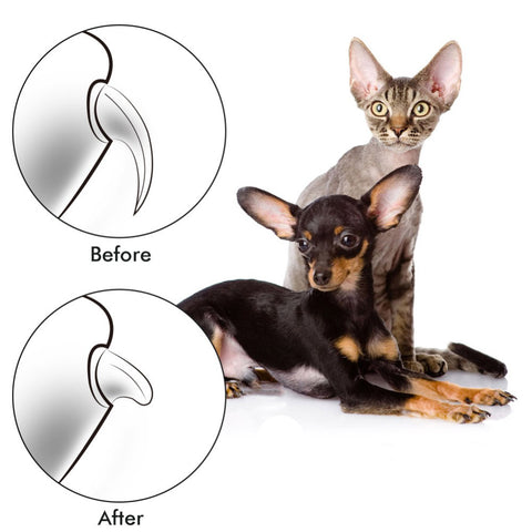 Electric Painless Pet Nail Clipper Trimmer In USA | Eno Pet