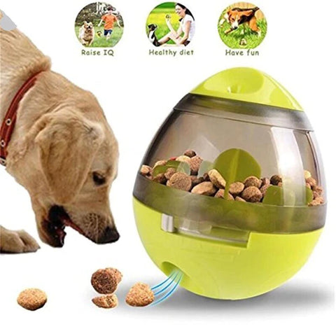 Interactive Pet Toy IQ Treat Ball Food Dispenser In USA | Eno Pet