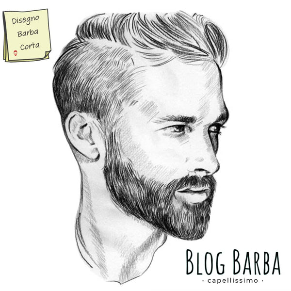 disegno barba corta