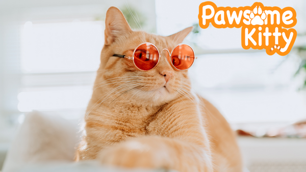 Pawesome Kitty Blog