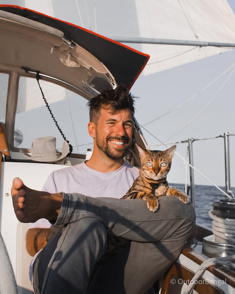 Bengal Cat on a Sailboat