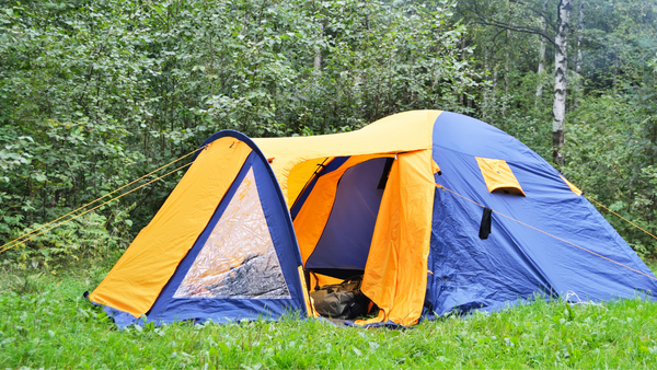 Camping Tent perfect for Camping with a Cat