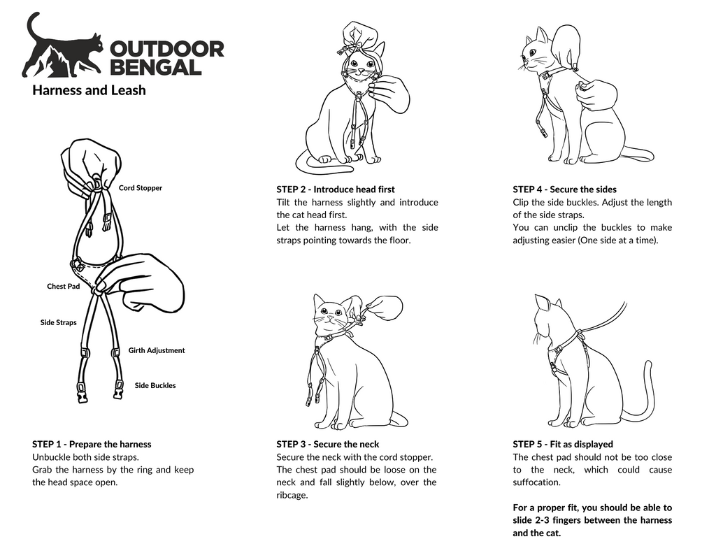 Outdoor Bengal Cat Harness and Leash Instructions