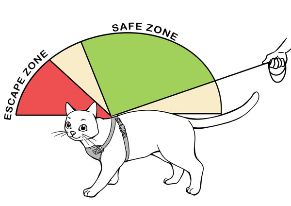 Safety Zone