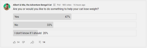 How Many Cat Parents Want to Help Their Cats Lose Weight