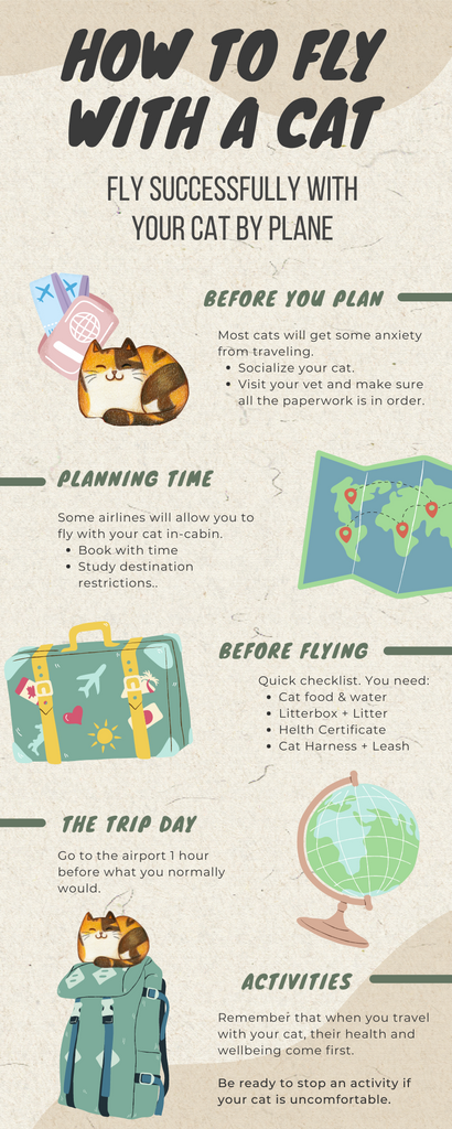 Travel with a cat by plane infographic