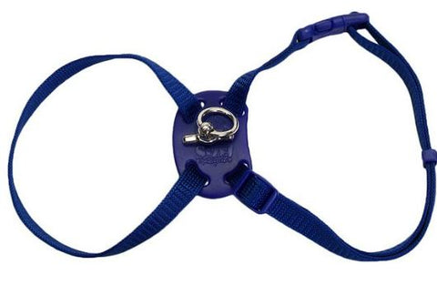 Different type of H Harness for Cats