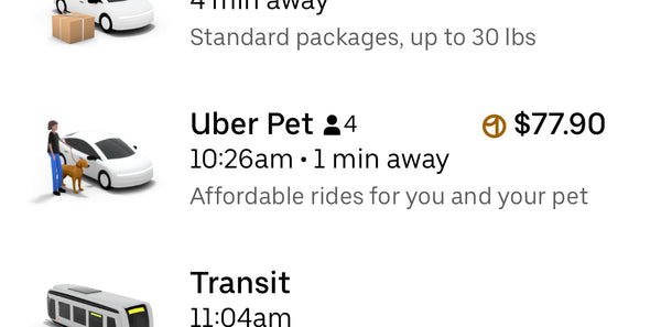 Pet Uber Ride