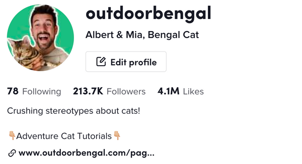 OutdoorBengal Tiktok Cat Famous