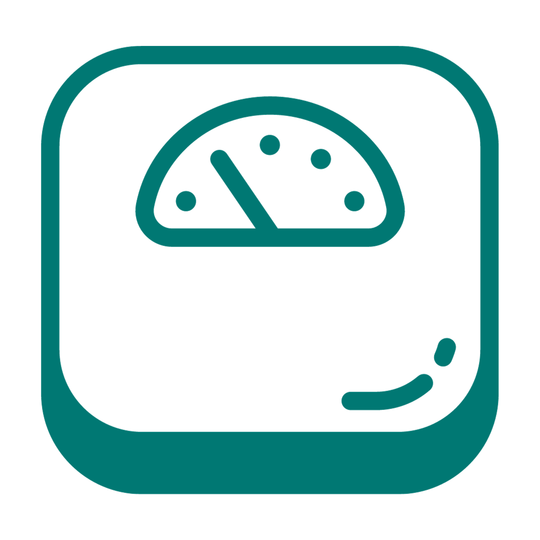 Weight Icon