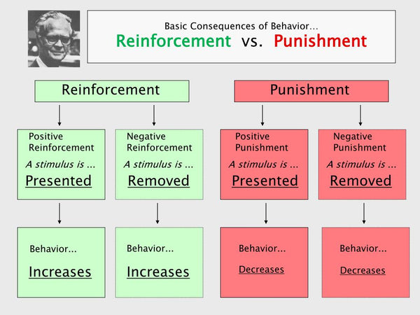 Operant Conditioning