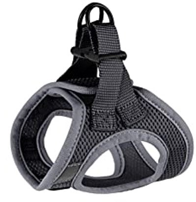 Step In Cat Harness