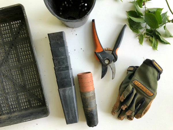 Gardening gloves and pruners are among the weeding hack tools, on a white surface.