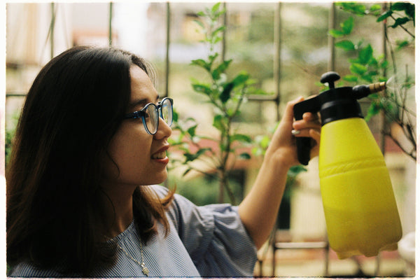 A young woman performs a weeding hack with a spray bottle on an indoor plant.