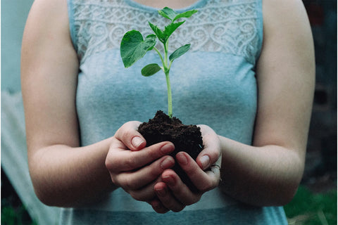 Someone is holding a young plant in soil in the palms of their hands, in front of their chest. At Messinas, we are committed to teaching you how to prevent weeds in flower beds.