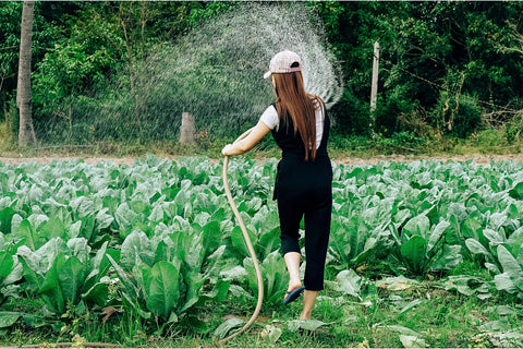 A girl in overalls is watering a large garden in the ground. She is learning how to prevent weeds in flower beds.
