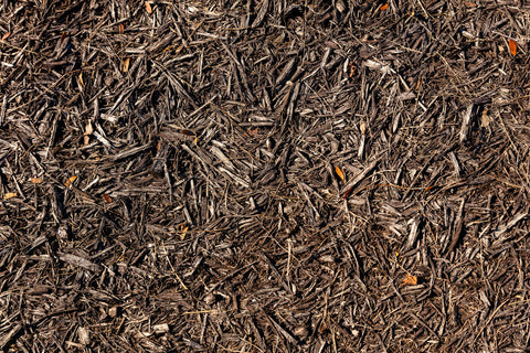 The Benefits of Making a Mulch Bed: An overhead view of brown mulch, untouched by a mulch bed edger yet.