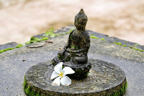 A sacred statue in a garden or on a cement courtyard, being overcome by moss. Learn how to kill moss on stone to avoid this.