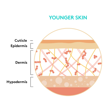 Younger Skin