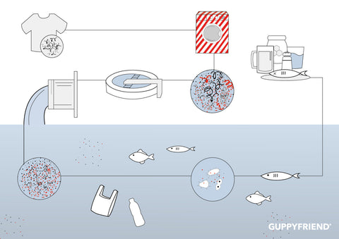 Guppyfriend_MP_infographic-nachhaltig waschen