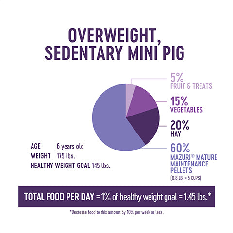 Overweight, Sedentary Mini Pig Pie Chart